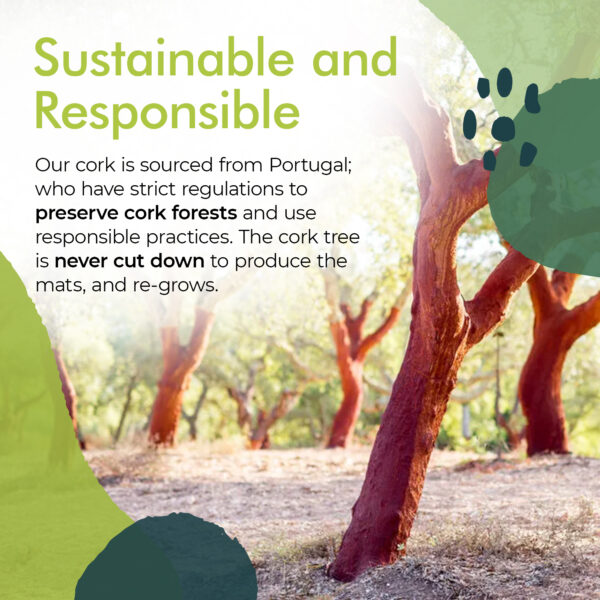 Sustainable and Responsible