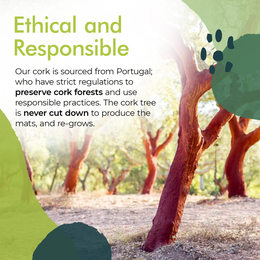 Ethical and Responsible Sourcing